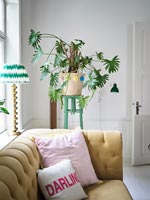 Large plant in decorative basket in modern living room 