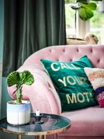 Houseplant on side table next to pink sofa 
