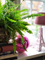 House plant and lamp