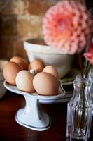 Eggs on ceramic plate 