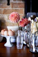 Dahlia flowers in glass bottle on kitchen worktop - detail 
