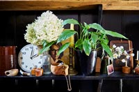 House plants and ornaments on black shelf 
