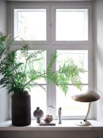 Vase with fern in window 