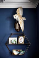 Taxidermy owl above shelves 