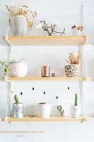 Modern shelves with houseplants 
