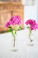 Pink flowers in glass vases 