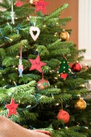 Christmas tree detail 