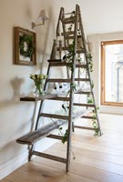 Unusual ladder shelving 