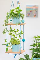Green houseplants on tiered plant display made from cork, string and balls