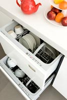 Open dishwasher in contemporary kitchen