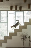 Modern staircase with cat 