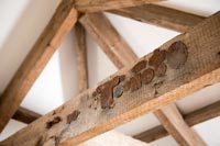 Close up exposed wooden beams 