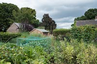 Modern house and vegetable garden 