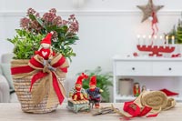 Christmas table decoration planted with Skimmia and Holy adorned with red ribbon and hessian bow and nordic figurines