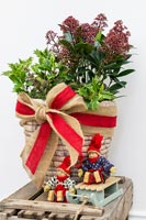Christmas display with winter foliage in wicker basket with red ribbon and hessian bow