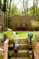 Garden with pets 