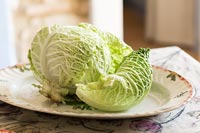 Cabbage on plate