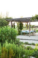 Garden pergola covered with roses and American grapes