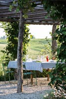 Garden pergola covered with roses and American grapes