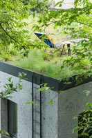 Small house with living roof 