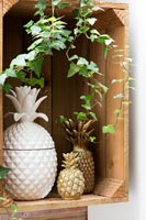 Ornamental pineapples 