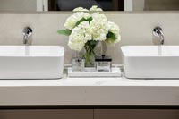 Modern white sinks