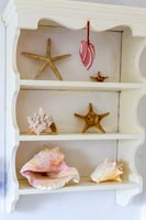 Shells on wall mounted white shelf unit 