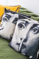 Pictorial cushions 