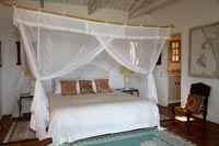 Canopy over bed in country bedroom 