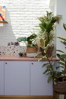 Houseplants in modern kitchen 