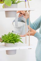 Woman watering houseplant in hanging shelving unit
