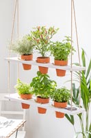 Hanging shelving unit with terracotta pots with herbs
