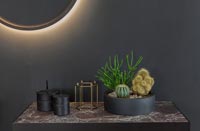 Cacti in black pot on side table next to halo light on black wall 