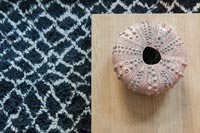 Sea urchin as decoration on wooden table with black and white patterned rug 