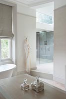 Modern bathroom with large shower cubicle 