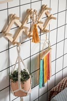 Detail of wooden wall mounted hooks with plant in macrame hanger