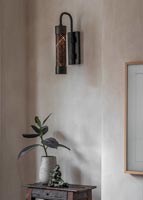 Houseplant on small table under modern wall light 