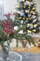 Berries and Christmas tree foliage decoration detail 