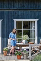 Blue Cottage on Lavender Farm - feature portrait 