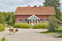 Pet dog in garden of country house 