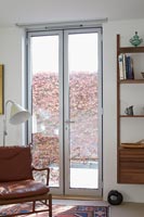 French windows in modern living room 