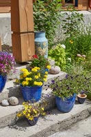 Containers of flowering plants on outdoor steps 