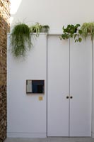 White door with houseplants 