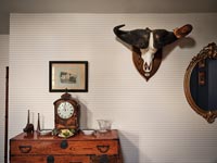 Wall mounted skull and horns above antique sideboard