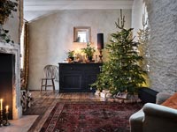 Country living room with Christmas tree 