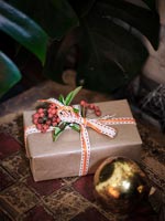 Christmas gift detail 
