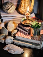 Candle and plants on stack of books with collection of fossils  