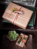 Wrapped Christmas gifts and small succulent plant on bedside table 