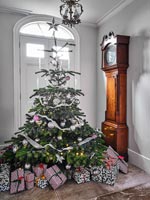 Christmas tree in hallway