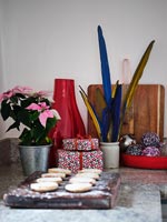 Poinsettia and Christmas presents on kitchen worktop